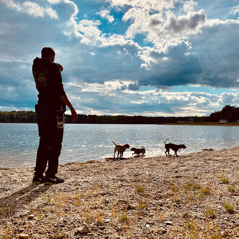 Unterordnung am Strand